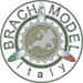 Brach Model